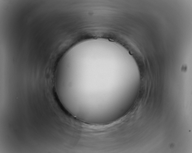 X0000103270031200808291117