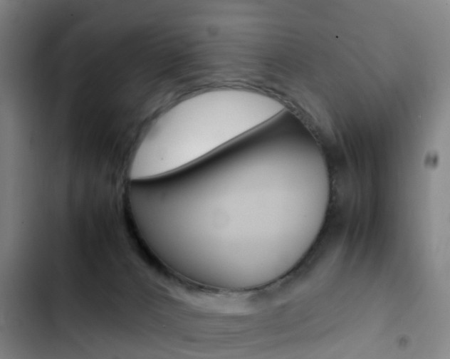 X0000103270032200808291117