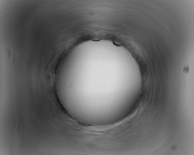 X0000103270033200808291117