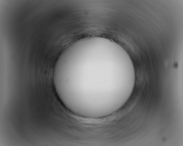 X0000103270034200808291117