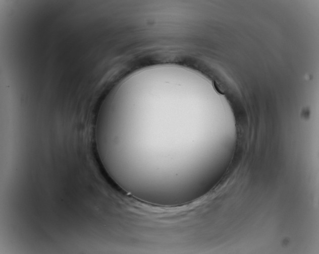 X0000103270035200808291117