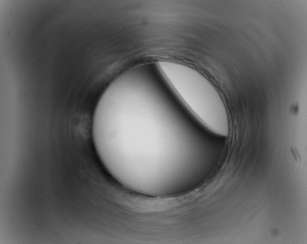 X0000103270036200808291117