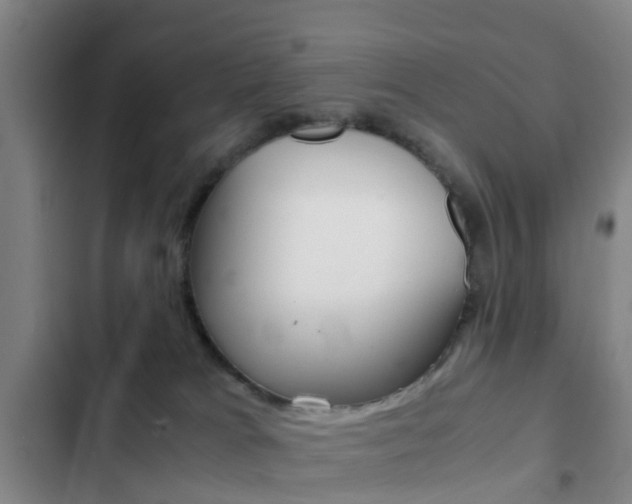 X0000103270037200808291117