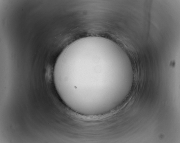 X0000103270038200808291117