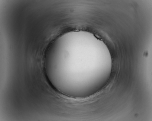 X0000103270039200808291117