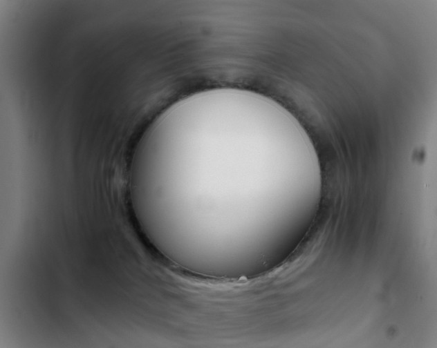 X0000103270040200808291117