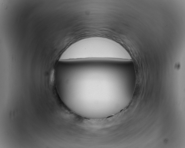 X0000103270041200808291117