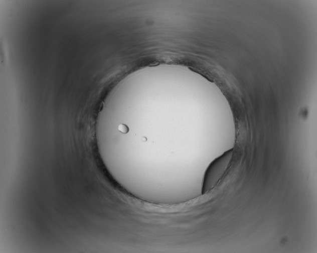 X0000103270043200808291117