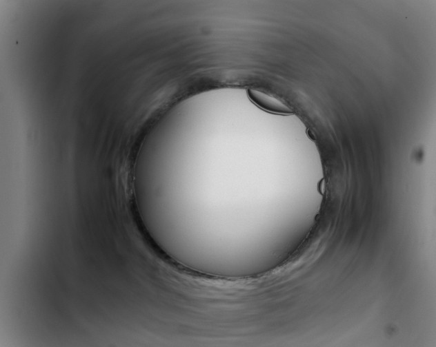 X0000103270044200808291117