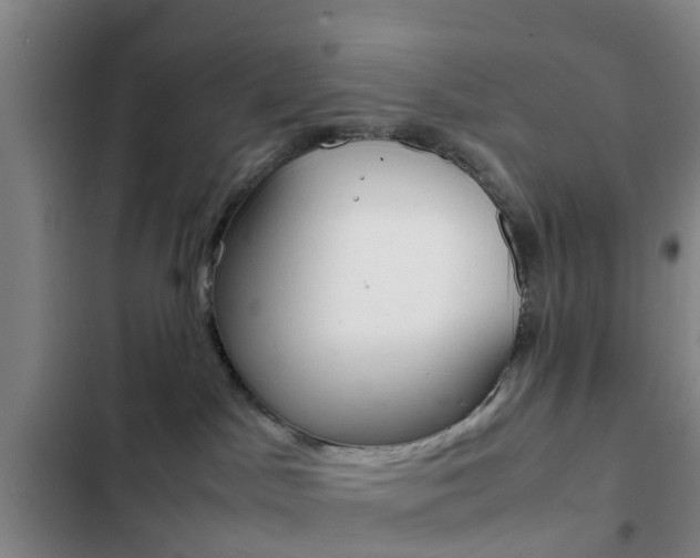 X0000103270045200808291117