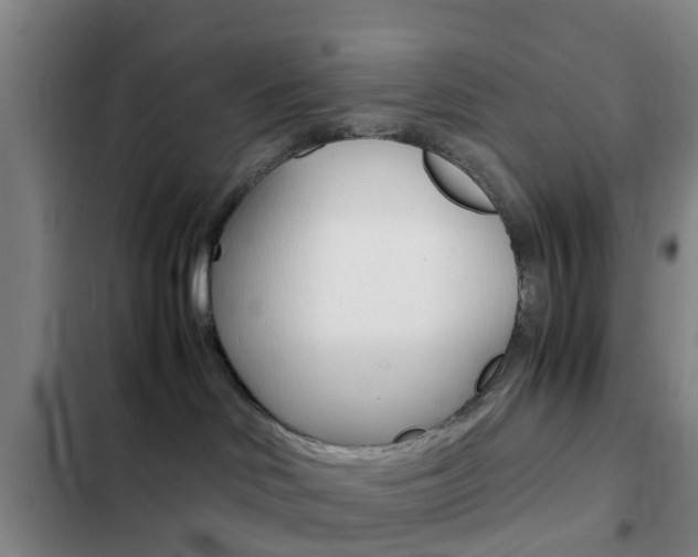 X0000103270046200808291117