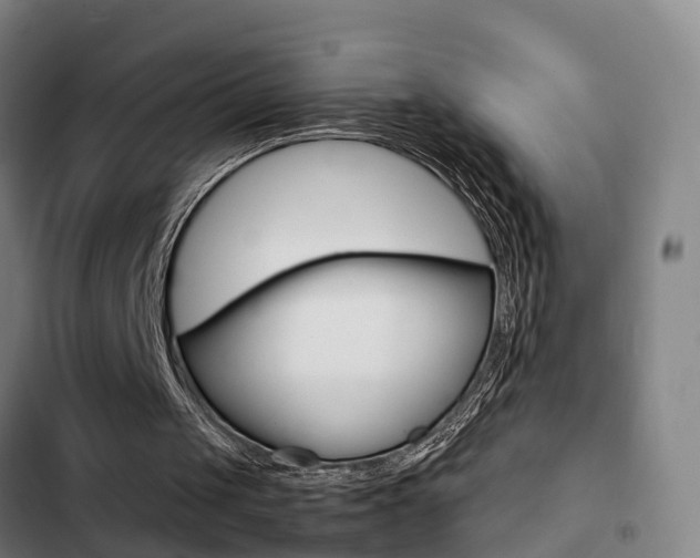 X0000103270049200808291116