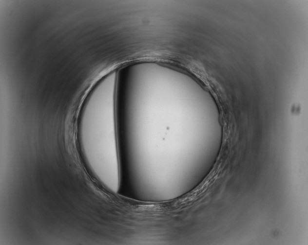 X0000103270050200808291116