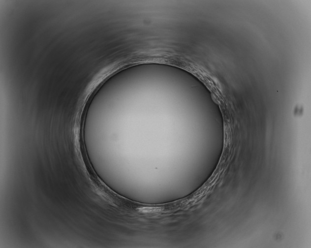 X0000103270051200808291116