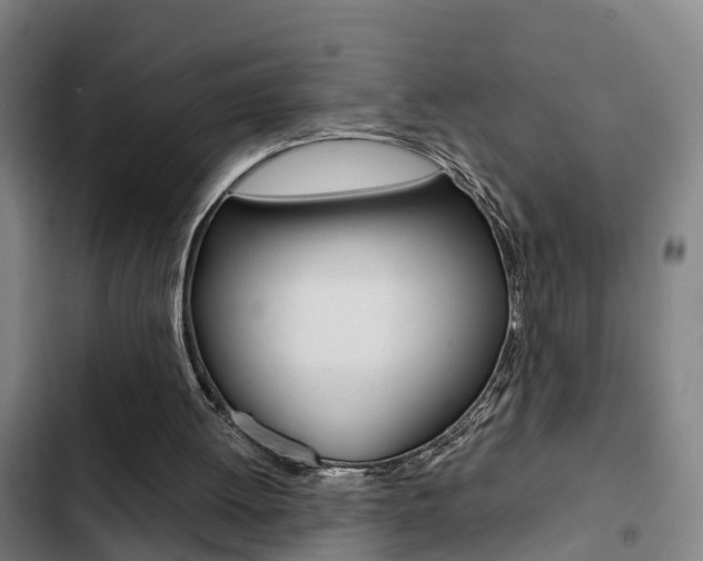 X0000103270052200808291116