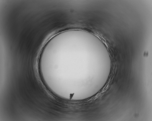 X0000103270053200808291116