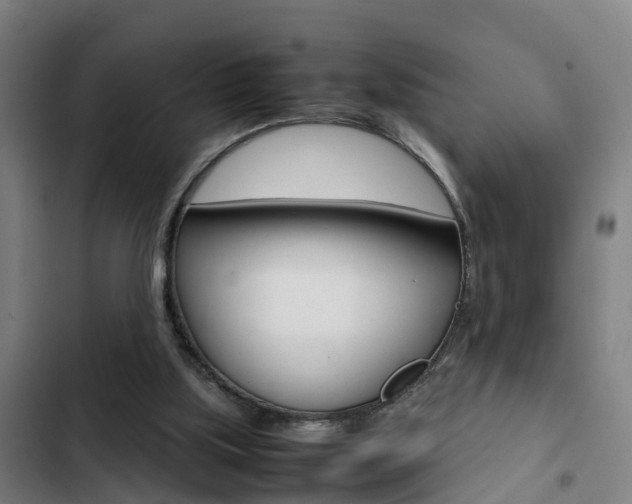 X0000103270059200808291116