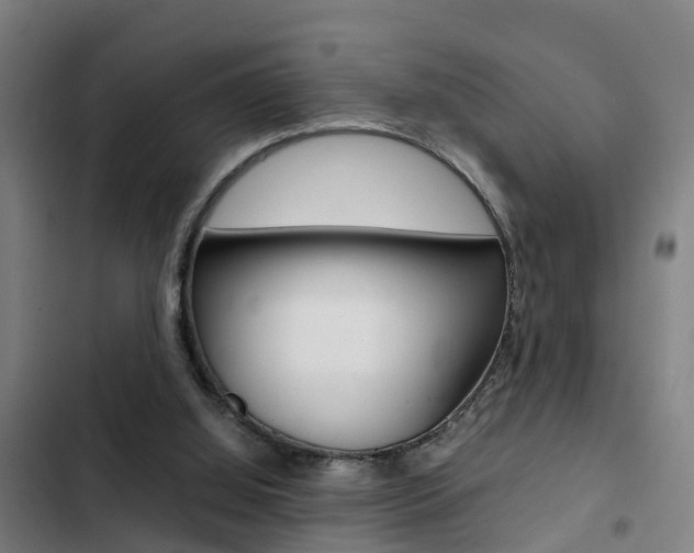 X0000103270060200808291116