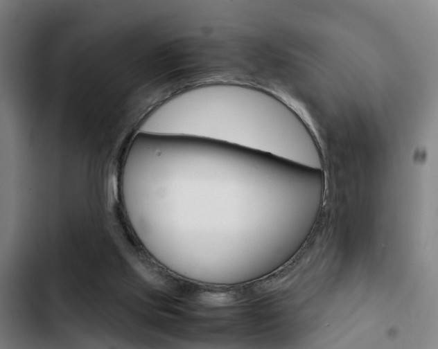 X0000103270061200808291116