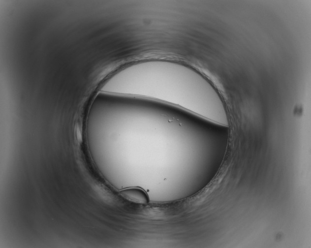 X0000103270062200808291116