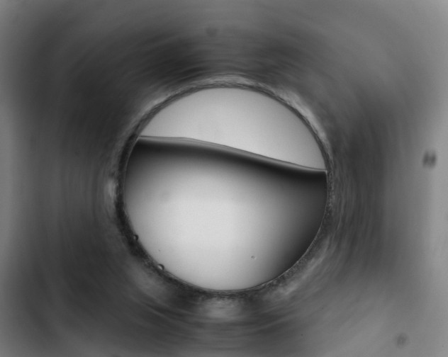 X0000103270063200808291116