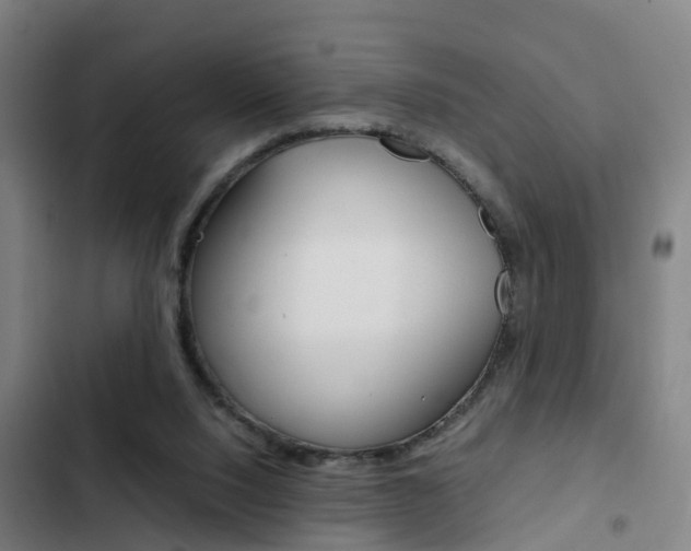 X0000103270064200808291116