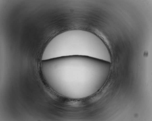 X0000103270065200808291116