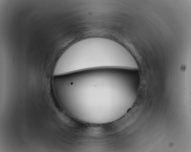 X0000103270066200808291116