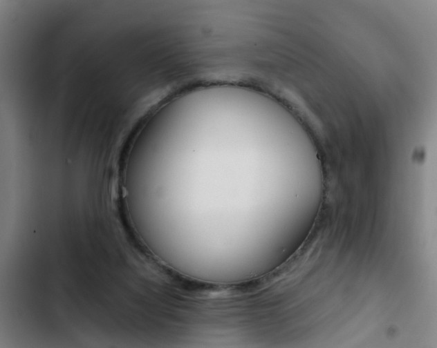 X0000103270068200808291116