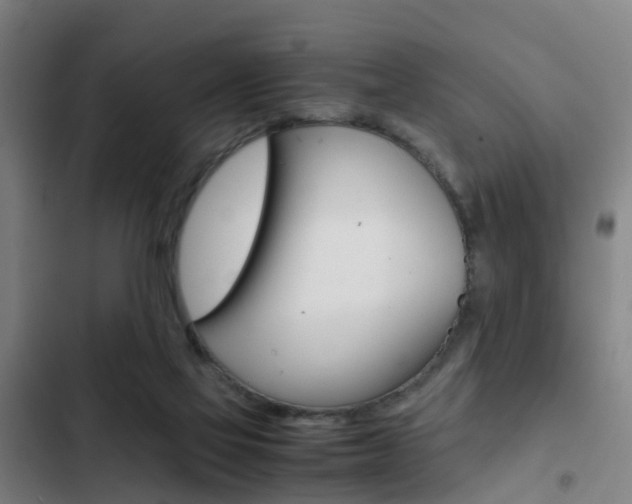 X0000103270069200808291117