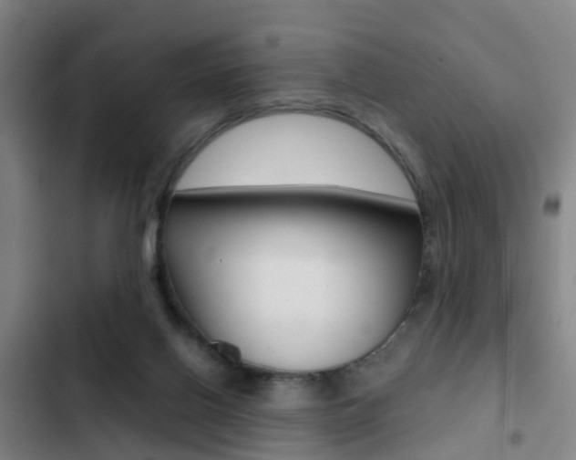 X0000103270070200808291117