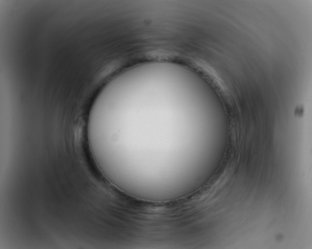 X0000103270071200808291117