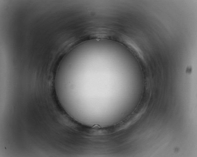 X0000103270073200808291117