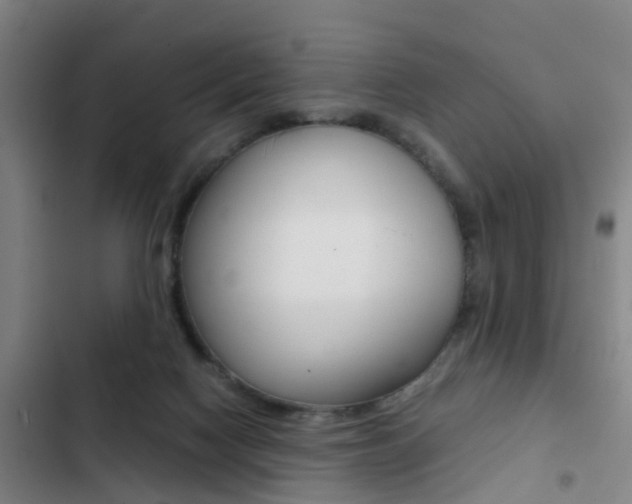 X0000103270074200808291117