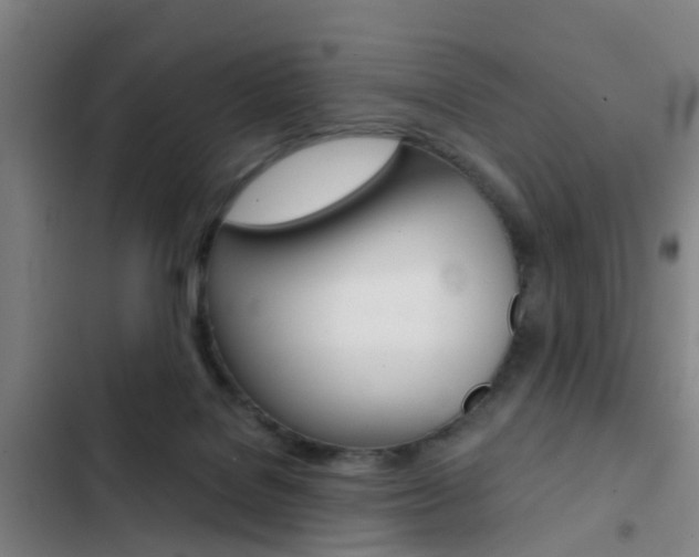 X0000103270076200808291117