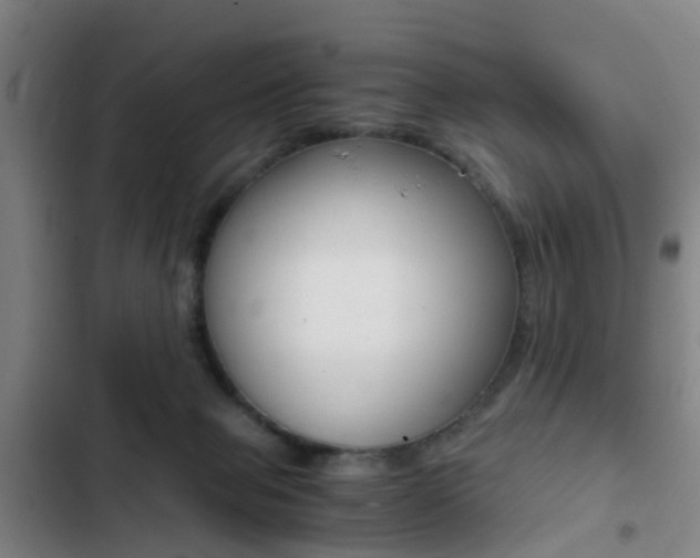 X0000103270077200808291117