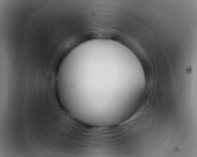 X0000103270078200808291117