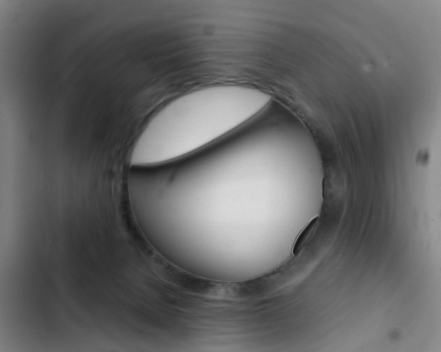 X0000103270080200808291117