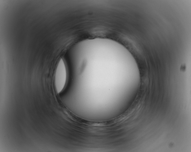 X0000103270081200808291117