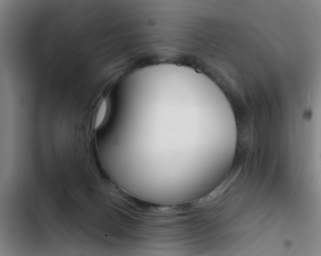 X0000103270082200808291117