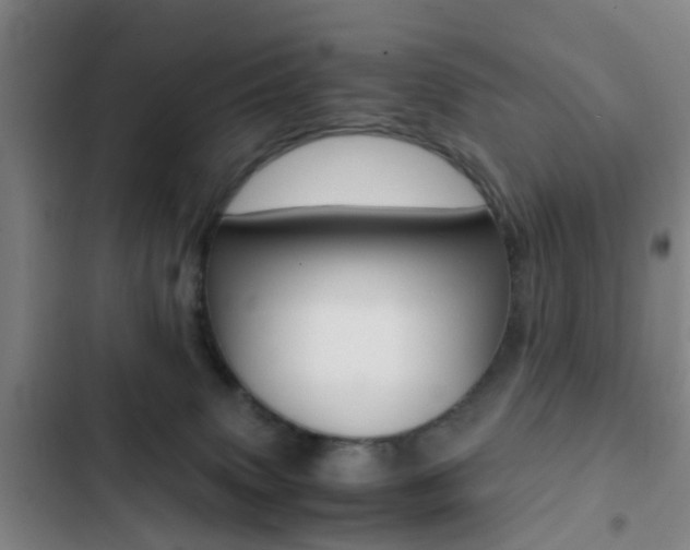 X0000103270083200808291117