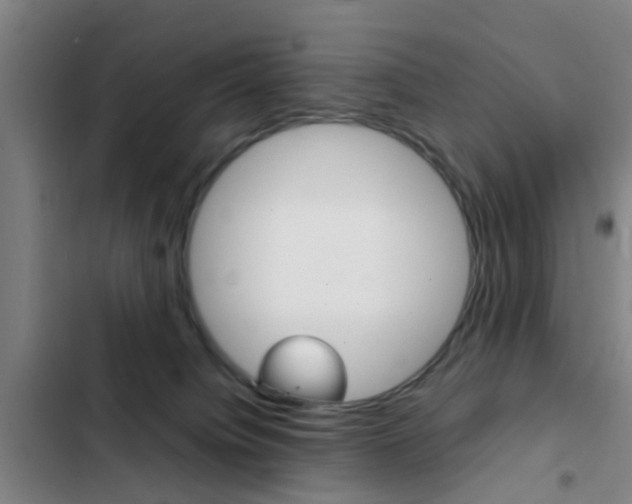 X0000103270084200808291117