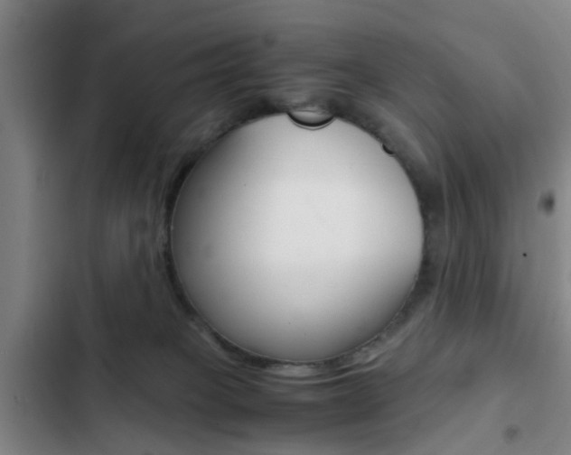 X0000103270085200808291117