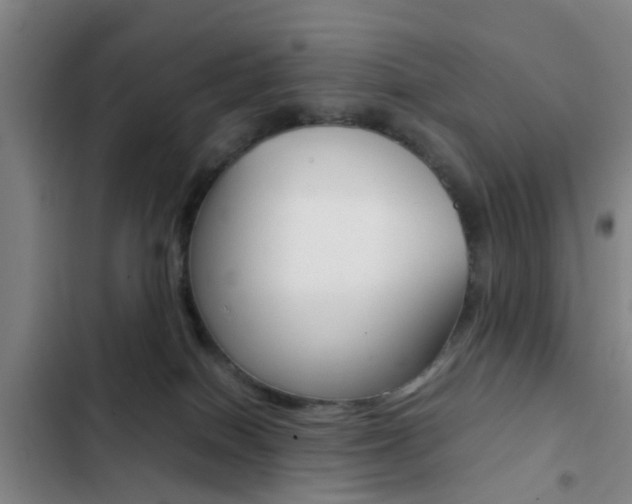 X0000103270086200808291117