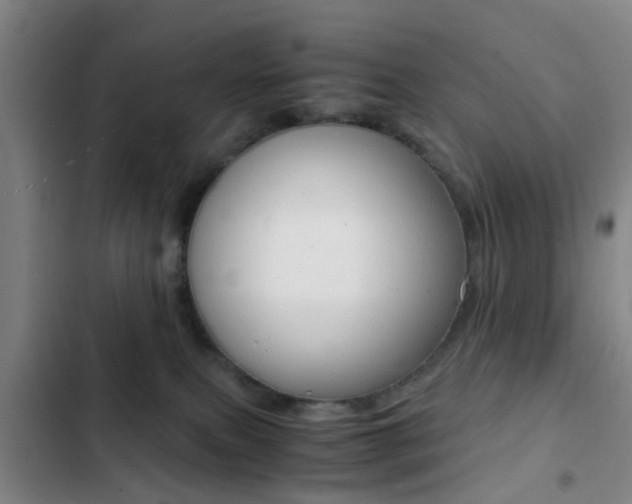 X0000103270087200808291117