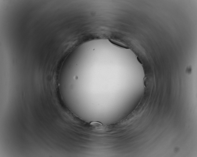 X0000103270088200808291117