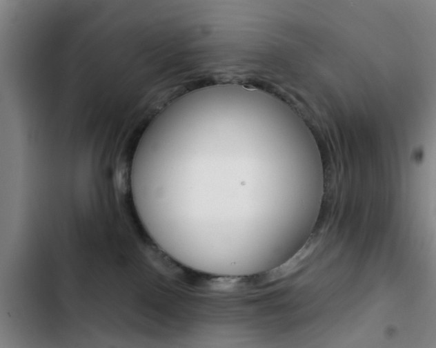 X0000103270090200808291117