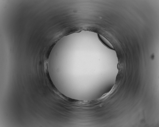 X0000103270094200808291117