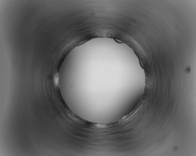 X0000103270095200808291117