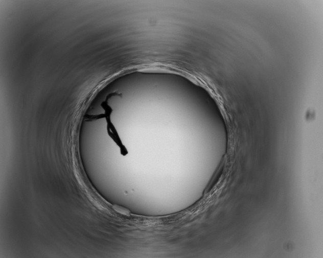 X0000103270097200808291116